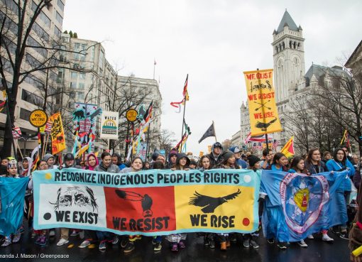 Indigenous Rights Speaker in Long Island