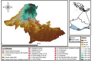 From the Loxicha Region