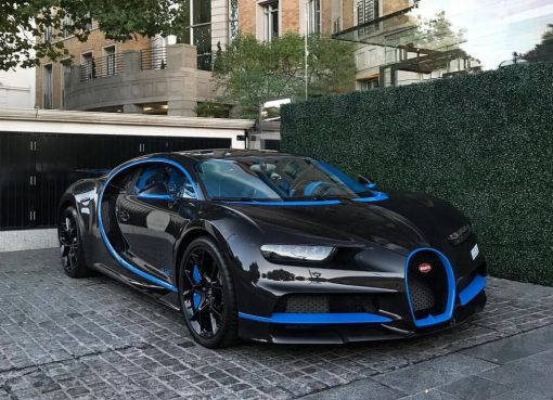 Here are the details that you need to provide for a license plate lookup