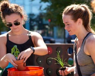 Urban Agriculture Workshops at CASA Chapulin