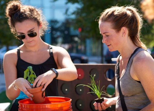 Urban Agriculture Workshops at CASA Chapulin