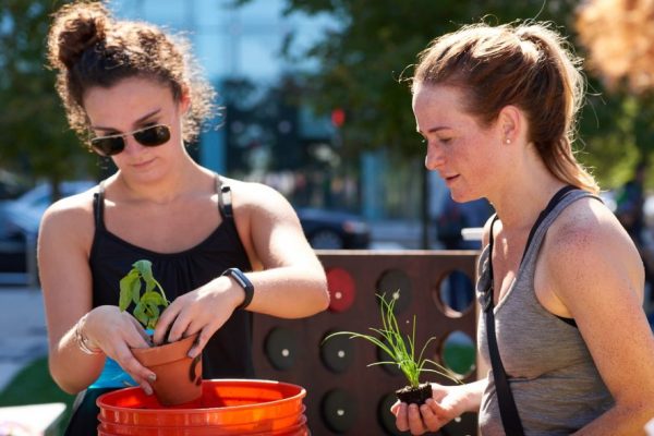 Urban Agriculture Workshops at CASA Chapulin
