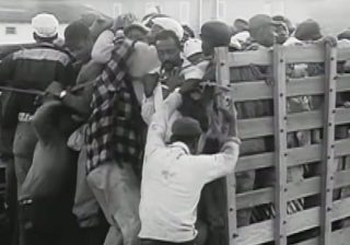 This Thanksgiving, take action to end the harvest of shame in the fields