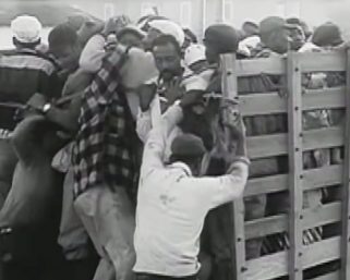 This Thanksgiving, take action to end the harvest of shame in the fields