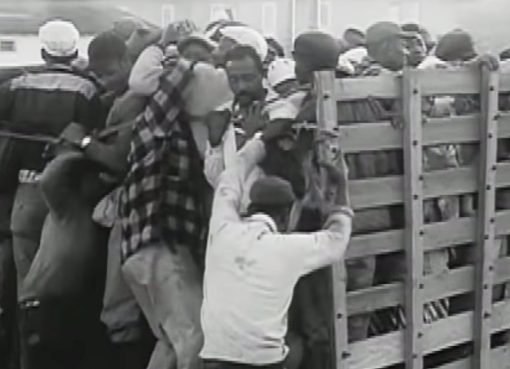 This Thanksgiving, take action to end the harvest of shame in the fields