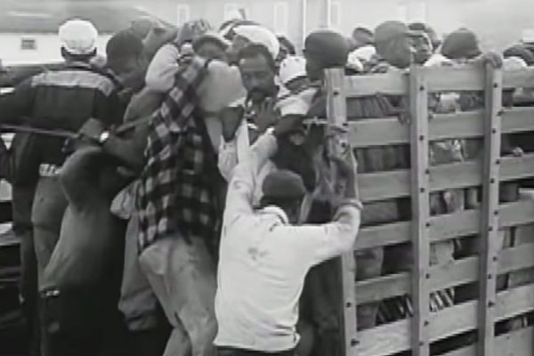 This Thanksgiving, take action to end the harvest of shame in the fields