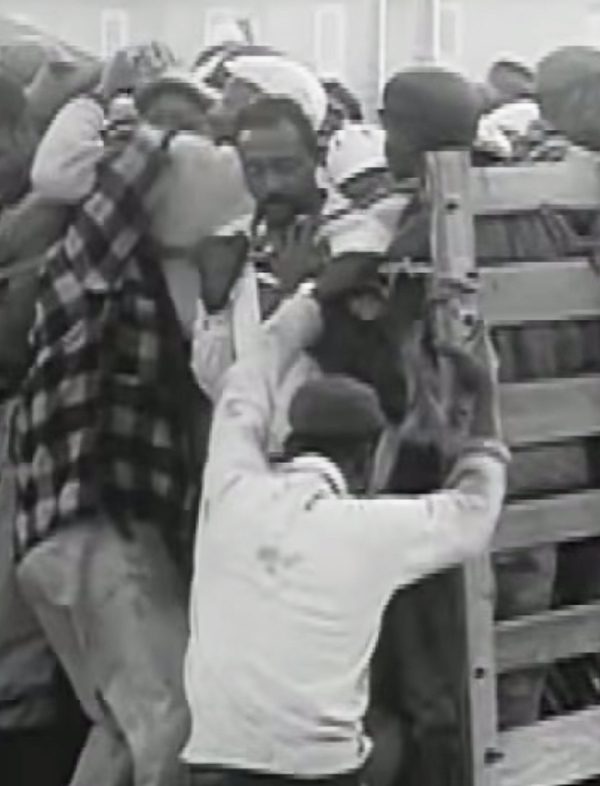 This Thanksgiving, take action to end the harvest of shame in the fields