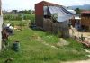 Urgent Letter Asking Help From CACITA
