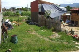 Urgent Letter Asking Help From CACITA