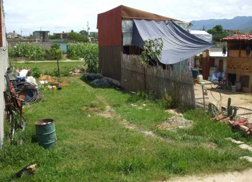 Urgent Letter Asking Help From CACITA