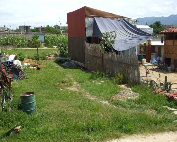 Urgent Letter Asking Help From CACITA