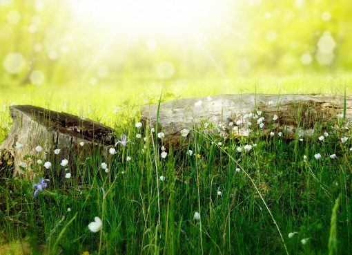 Dekorer ditt utendørs partytelt for enhver anledning