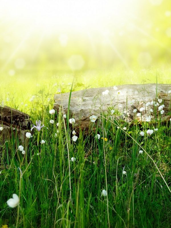 Dekorer ditt utendørs partytelt for enhver anledning